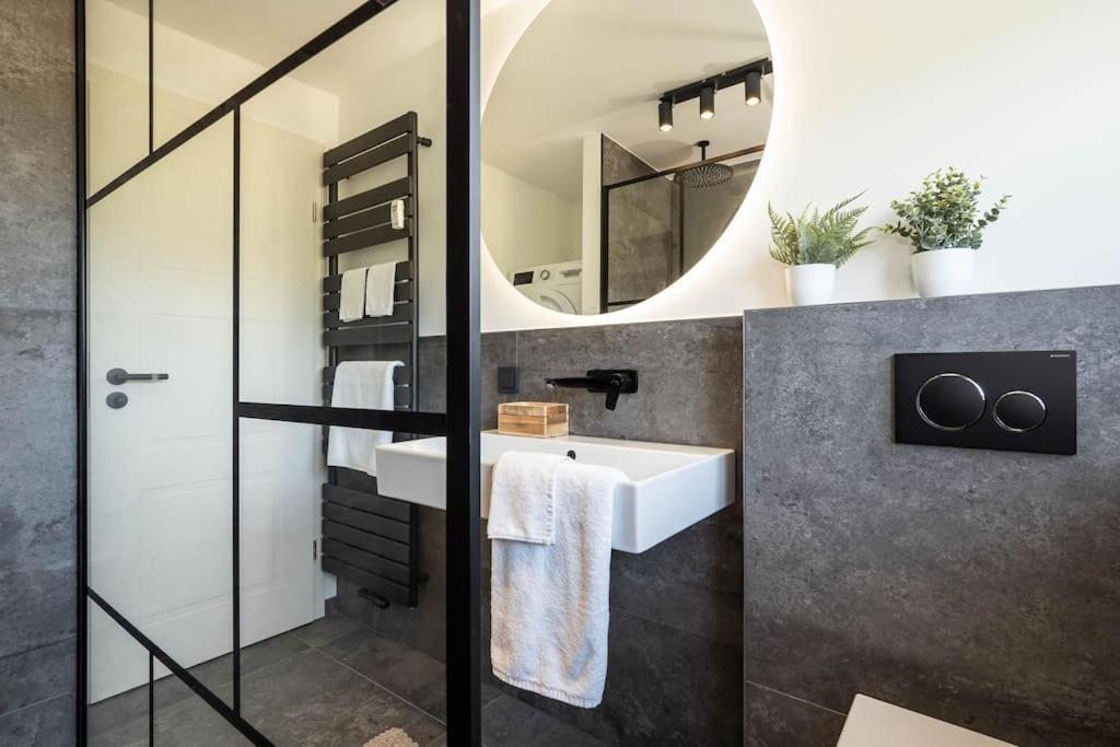 Luxury Apartment On The Rhein Busingen am Hochrhein Exterior photo